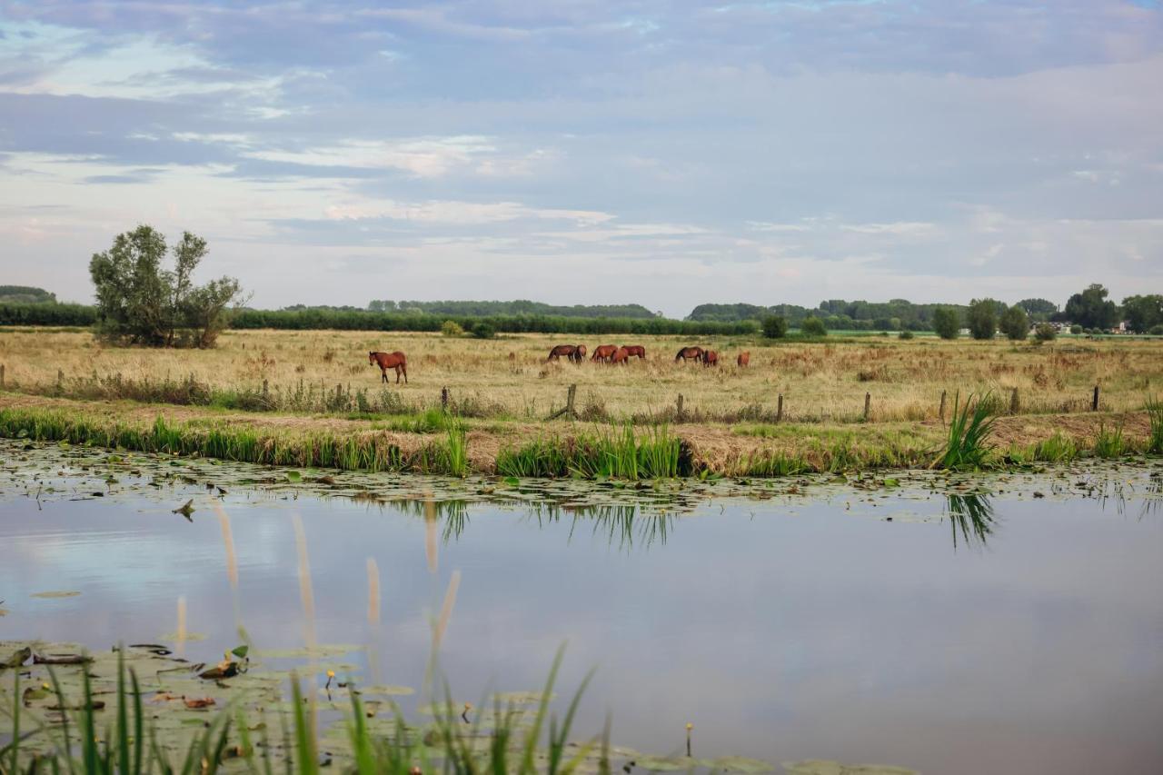 Haje Nieuwegein Exterior foto